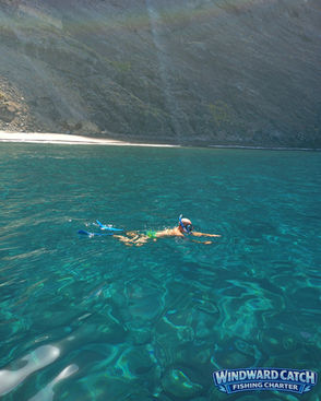 Pasajero haciendo snorkel y nadando en el agua cristalina de color turquesa intenso de la bahía de Masca junto a Windward Catch Fishing Charter.