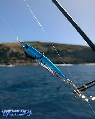 Primer plano de un señuelo artificial alargado de color azul y rosa con la marca de 50g enganchado a una caña con el mar en movimiento de fondo desde nuestra embarcación de chárter de pesca deportiva Windward Catch Fishing Charter.