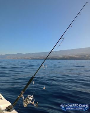 Una caña de pescar con carrete plateado y un aparejo de anzuelos listos, colocada en el cañero de la borda de Windward Catch Fishing Charter con el mar y la costa de Tenerife al fondo.