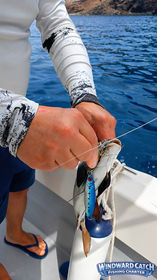 Un cliente a bordo del barco sostiene un pez capturado mientras le retira un señuelo artificial azul (jig), con el mar y la costa de Tenerife al fondo.