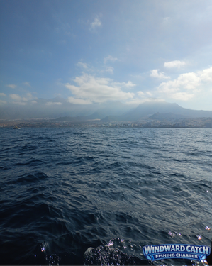 View of the Canary coast from the Windward Catch fishing charter.