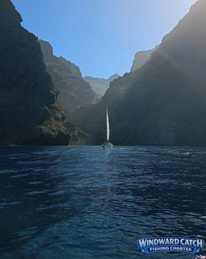 Un velero blanco navegando en el mar azul entre las inmensas paredes verticales del barranco de Masca en Tenerife, fotografiado desde Windward Catch Fishing Charter.