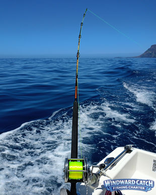 Caña de pescar centrada en el cañero de popa del barco Windward Catch Fishing Charter dejando una estela de espuma blanca en el agua azul.