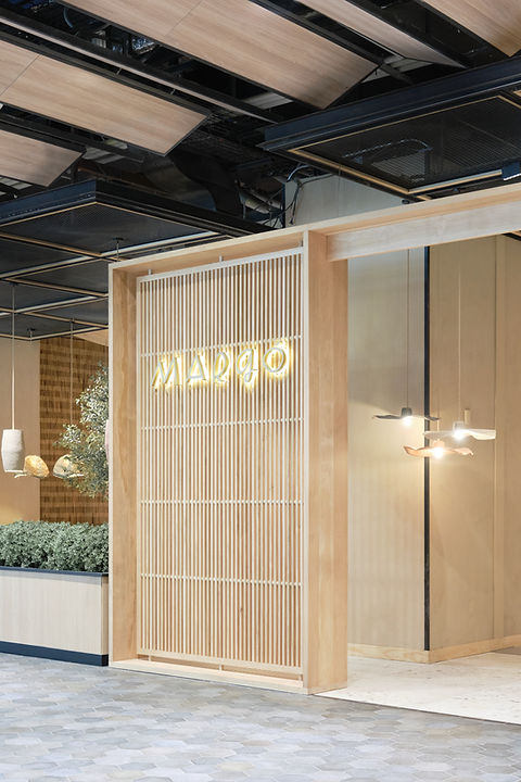 LoteStudio01.jpg