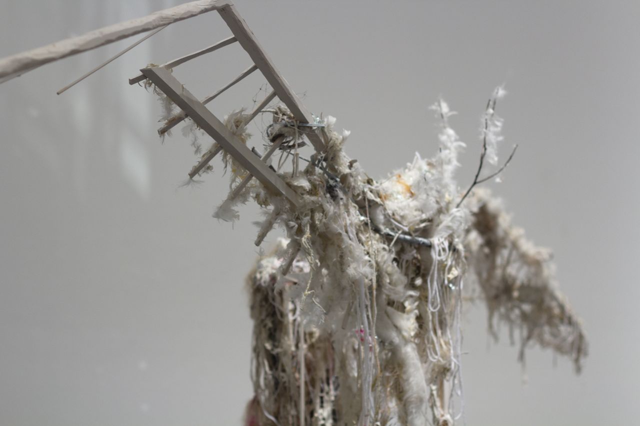 Thawed and Dripped