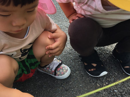 保育園 事務長のほっこり日記 #58