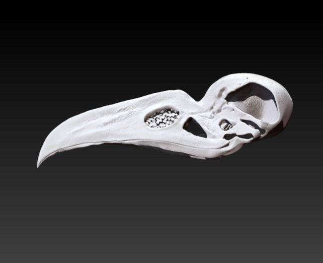 Khonshu (Moonknight)