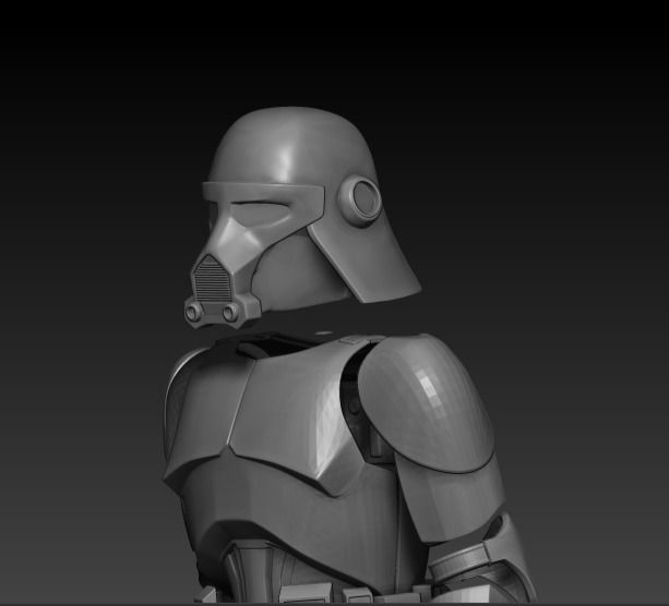 Thumbnail: Purge Trooper (Canon)