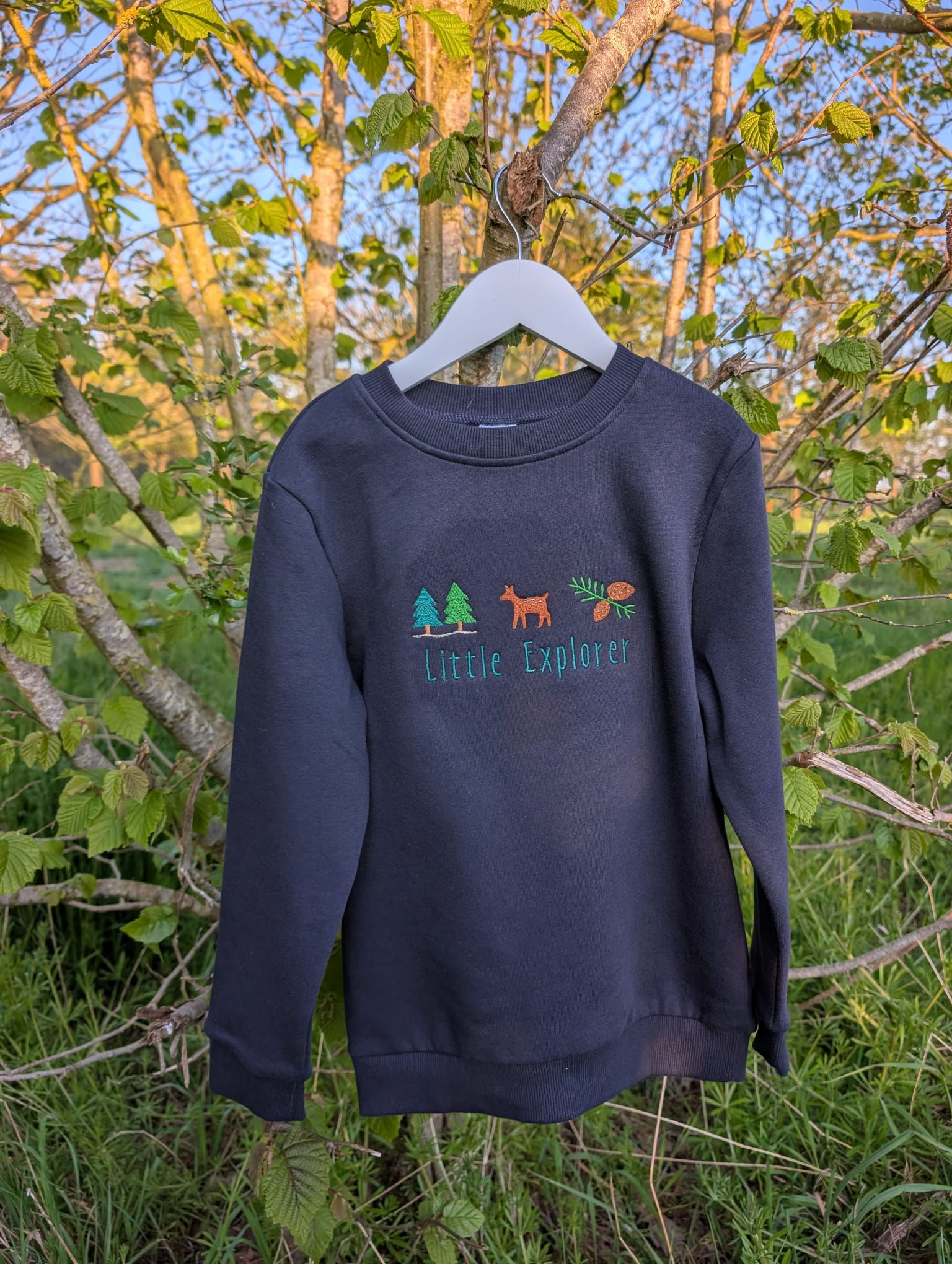 Little Explorer