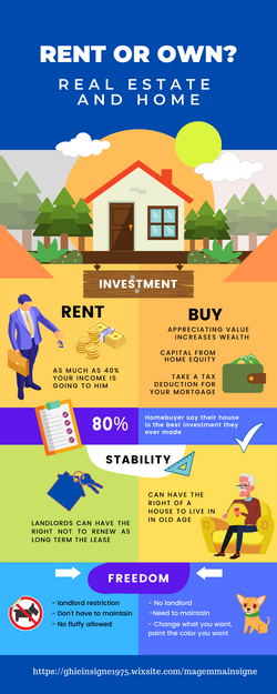Infographics canva