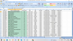 Excell Output