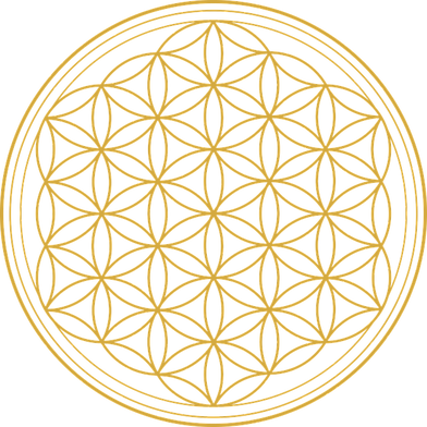 Gelbes, rundes Diagramm mit vielen kleinen Punkten, Netzwerk Struktur