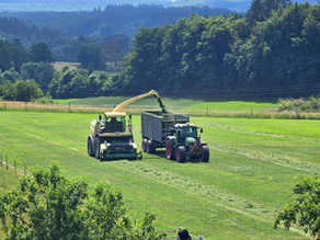 Precisão no campo: o papel da perícia em disputas contratuais do agro