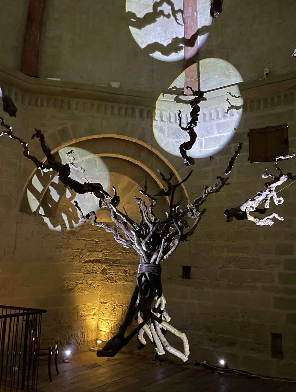 L'arbre envolé 2