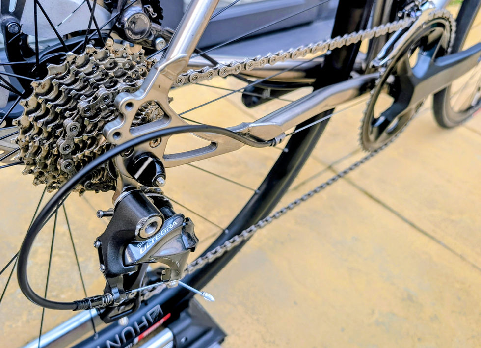 PXL_20260204_163255004~2