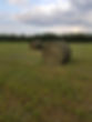 20200817_185540.jpg