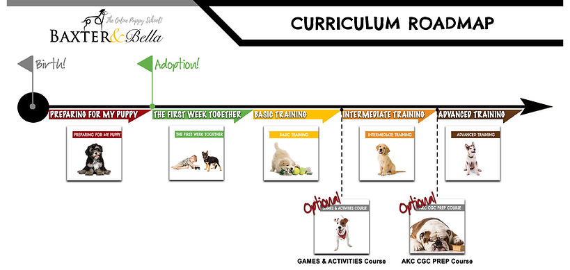 B&B Curriculum Roadmap Master Image.jpg