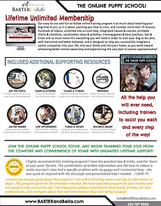 B&B The Online Puppy School.jpg