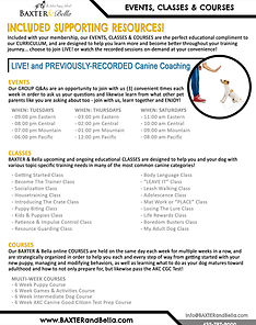 B&B Events, Classes & Courses.jpg