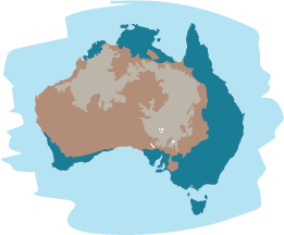 Detailed cartoon Australia
