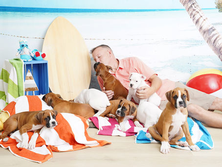 Paws, Whiskers, and Portraits: Why Your Fur Family Belongs in Your Family Photos
