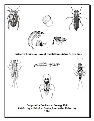 Guide to benthic taxonomy in Canada