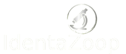 Official logo for IdentaZoop, a specialized zooplankton processing service in Canada.