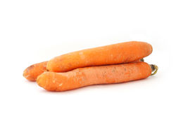 Carottes