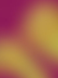 Why the Chinese Government is Exempting AI from Stringent Regulations