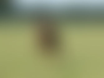 New Extended Opening Times