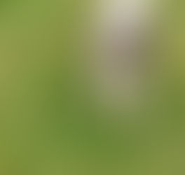 Spring warmer weather to enjoy