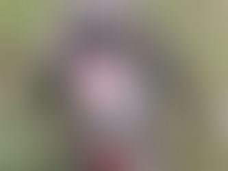 ADDITIONAL AVAILABLE TIMES - FIDOSFUN BINFIELD 1