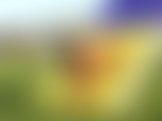 A-Frame contact Training