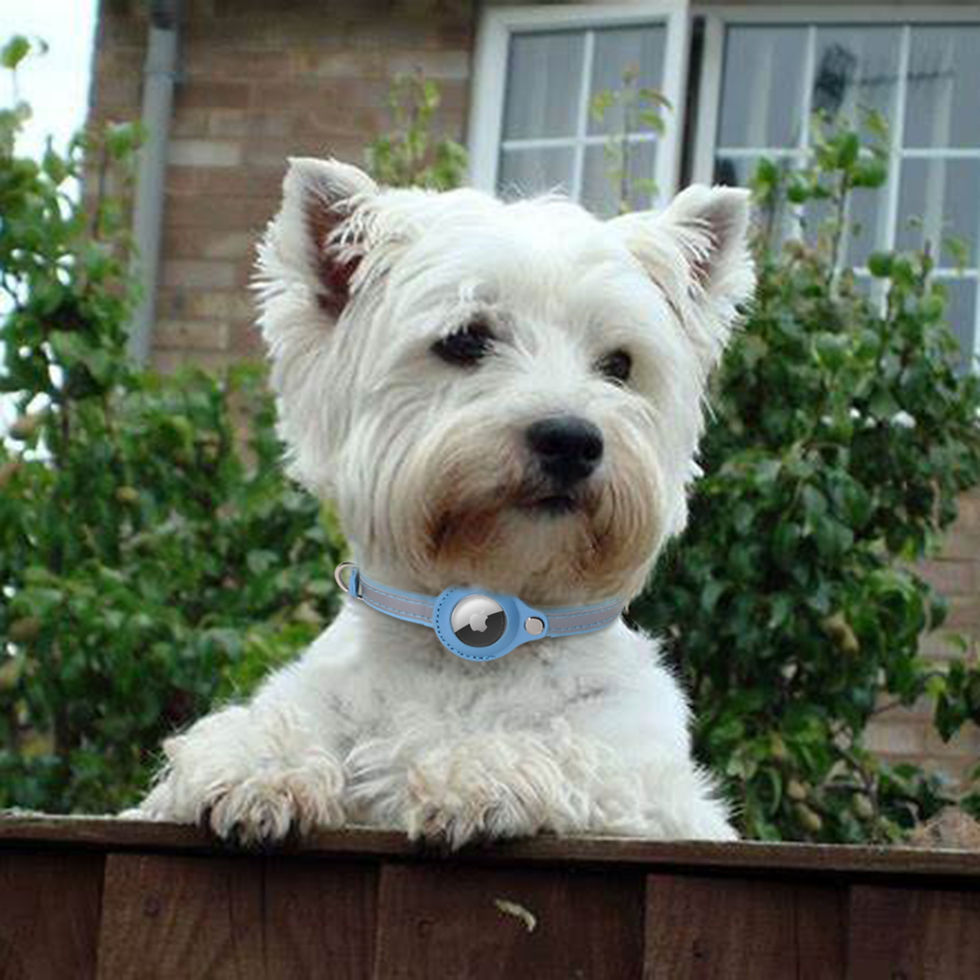 Thumbnail: Integrated Air Tag Cat Collar for Apple, Leather GPS Cat Collar with AirTag
