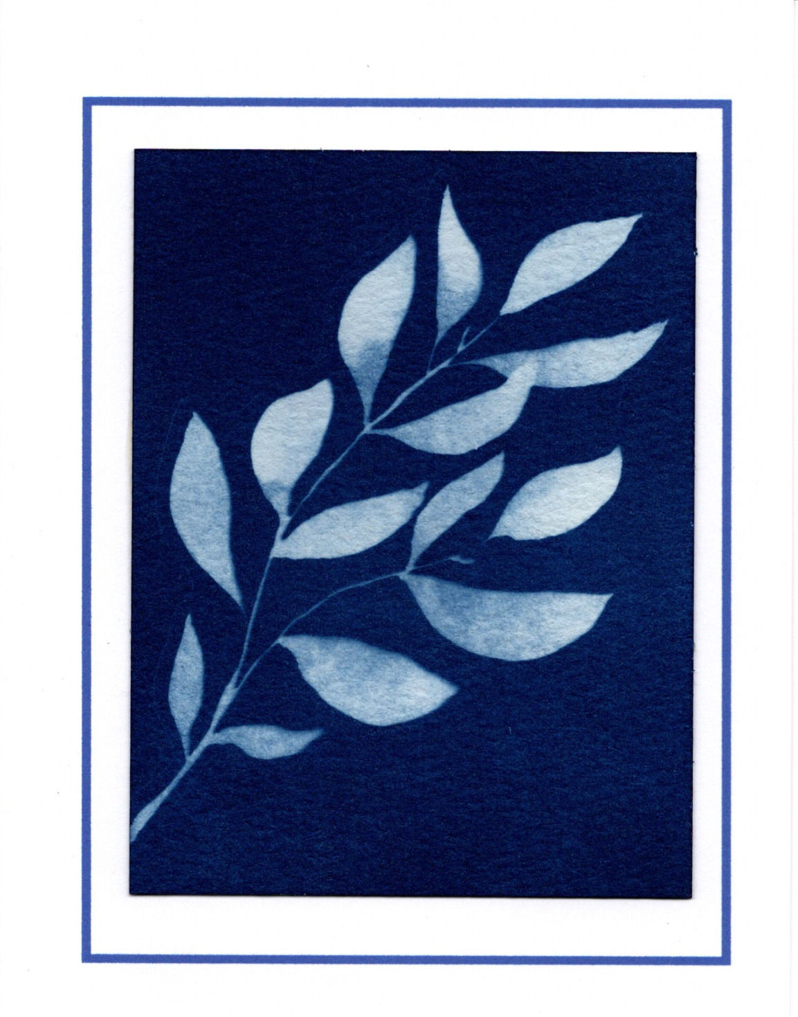 Note Card - Leaves 1