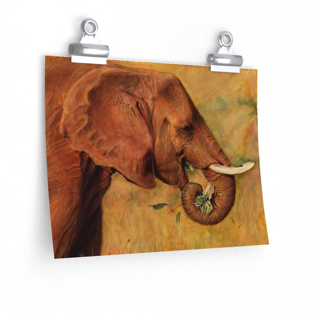 Watercolor Elephant - Premium Matte print