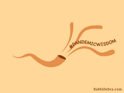 Your Pandemic Wisdom Wanted