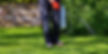 Technician spraying for pests