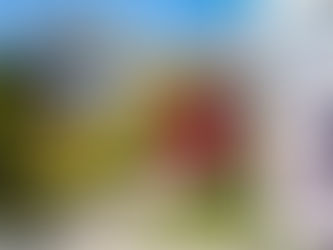 Single Family Home with "For Rent" sign.