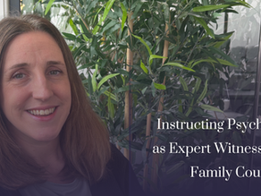How do Psychologist Expert Witnesses assist the Family Courts?