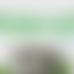 Inherited a House You Don’t Want? Here’s How to Sell It As-Is in Northwest Arkansas