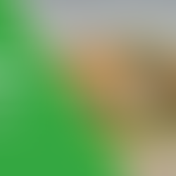 Top Reasons Homeowners Choose to Sell As-Is