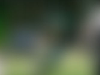 RB JaMycal Hasty a FB Josh Hokit