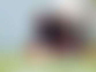 Tréningový kemp a novinky