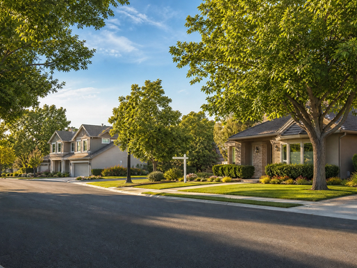 Sunlit suburban street with large green trees, manicured lawns, and quiet tan houses under a clear blue sky