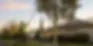 Residential Tree Pruning Sacramento: A How-To Guide
