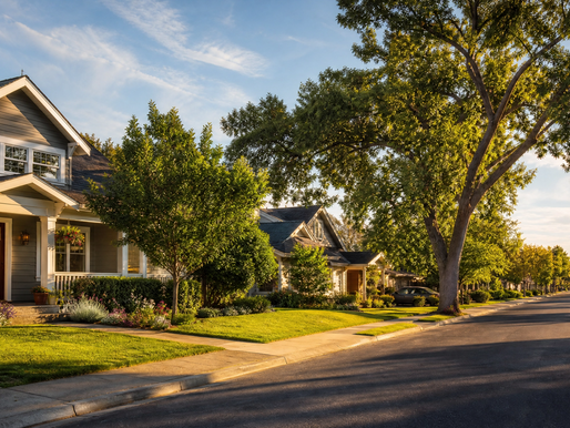Sunlit suburban street with gray houses, green lawns, and tall trees casting warm evening shadows under a blue sky.