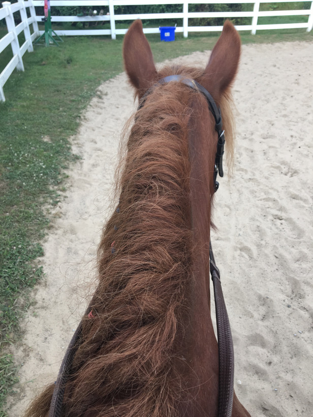 Back in the Saddle #2