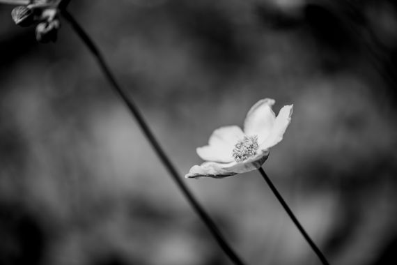 _E3A2956_0818-1.jpeg