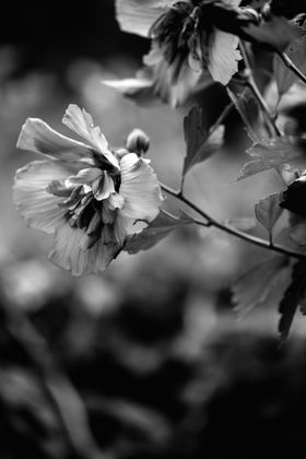 _E3A2961_0824-1.jpeg
